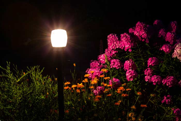 Gartenlicht (de.depositphotos.com) Gartenlicht (de.depositphotos.com)
